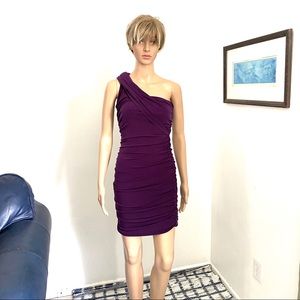 Sweet Storm Body Con Ruched Purple Dress Medium